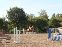 img_7184_web
